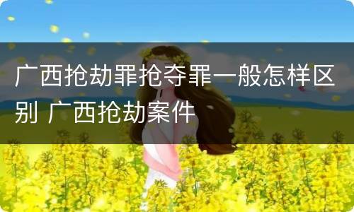 广西抢劫罪抢夺罪一般怎样区别 广西抢劫案件