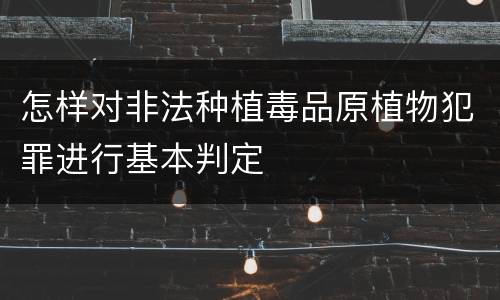 怎样对非法种植毒品原植物犯罪进行基本判定
