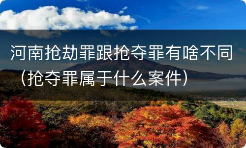 河南抢劫罪跟抢夺罪有啥不同（抢夺罪属于什么案件）