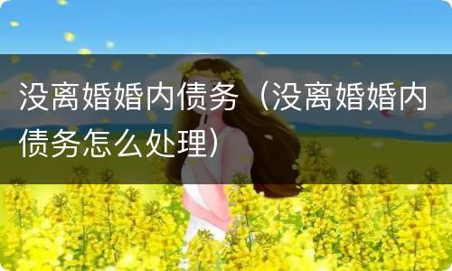 没离婚婚内债务（没离婚婚内债务怎么处理）