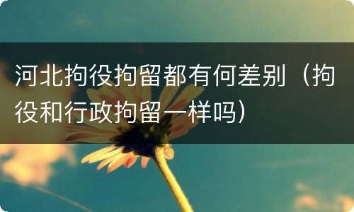 河北拘役拘留都有何差别（拘役和行政拘留一样吗）