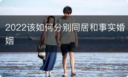 2022该如何分别同居和事实婚姻