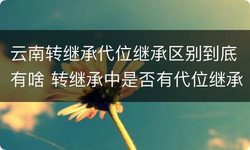 云南转继承代位继承区别到底有啥 转继承中是否有代位继承