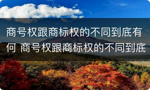 商号权跟商标权的不同到底有何 商号权跟商标权的不同到底有何区别