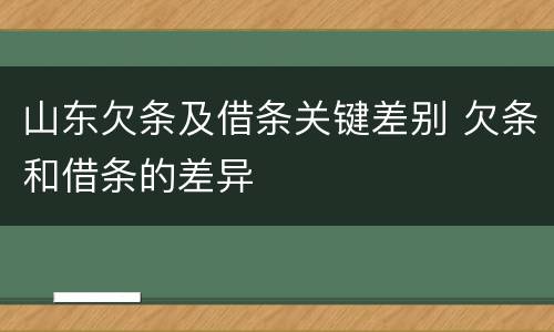 山东欠条及借条关键差别 欠条和借条的差异