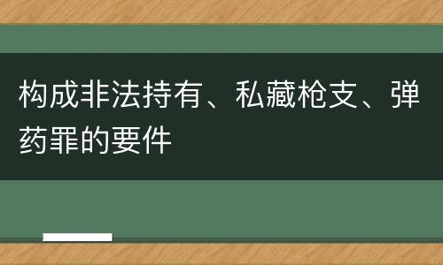 构成非法持有、私藏枪支、弹药罪的要件
