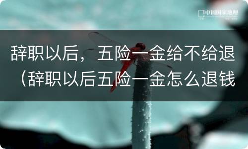 辞职以后，五险一金给不给退（辞职以后五险一金怎么退钱）