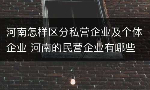 河南怎样区分私营企业及个体企业 河南的民营企业有哪些