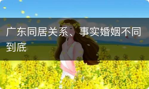 广东同居关系、事实婚姻不同到底