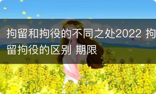 拘留和拘役的不同之处2022 拘留拘役的区别 期限