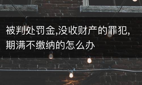 被判处罚金,没收财产的罪犯,期满不缴纳的怎么办