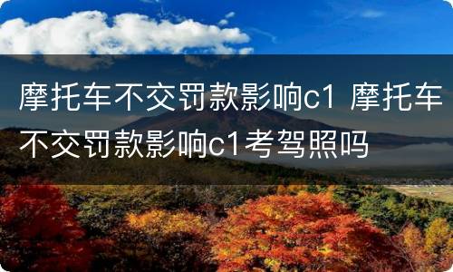 摩托车不交罚款影响c1 摩托车不交罚款影响c1考驾照吗