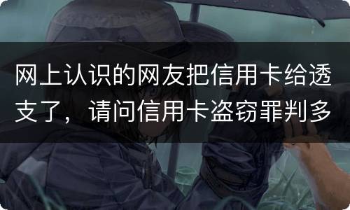 网上认识的网友把信用卡给透支了，请问信用卡盗窃罪判多少年