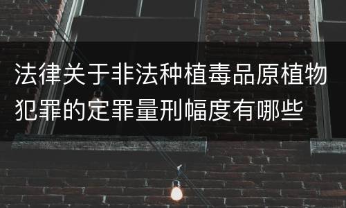 法律关于非法种植毒品原植物犯罪的定罪量刑幅度有哪些