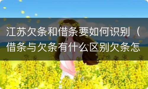 江苏欠条和借条要如何识别（借条与欠条有什么区别欠条怎么写）