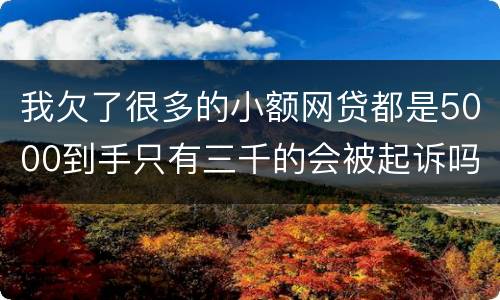 我欠了很多的小额网贷都是5000到手只有三千的会被起诉吗