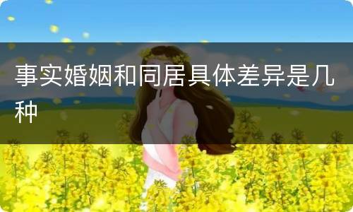 事实婚姻和同居具体差异是几种