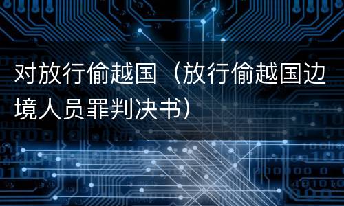 对放行偷越国（放行偷越国边境人员罪判决书）