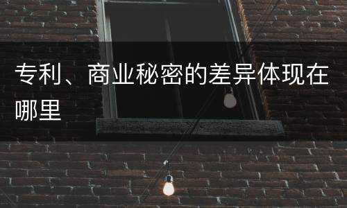专利、商业秘密的差异体现在哪里