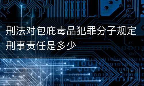 刑法对包庇毒品犯罪分子规定刑事责任是多少