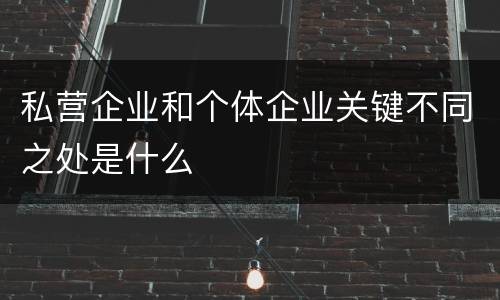私营企业和个体企业关键不同之处是什么