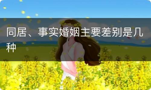 同居、事实婚姻主要差别是几种