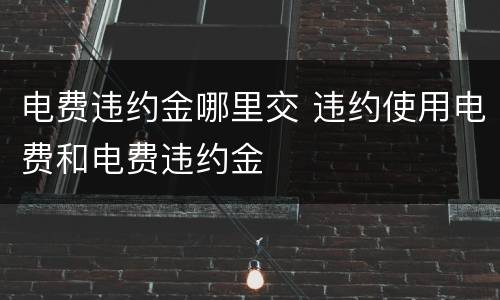 电费违约金哪里交 违约使用电费和电费违约金
