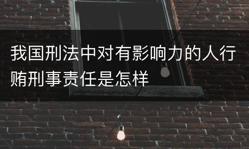 我国刑法中对有影响力的人行贿刑事责任是怎样