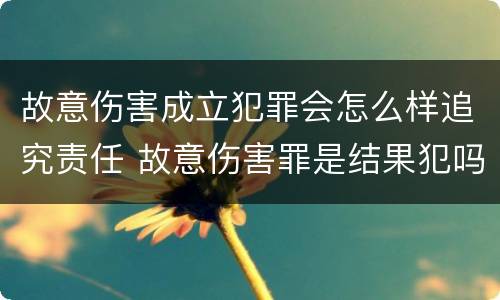 故意伤害成立犯罪会怎么样追究责任 故意伤害罪是结果犯吗