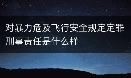 对暴力危及飞行安全规定定罪刑事责任是什么样