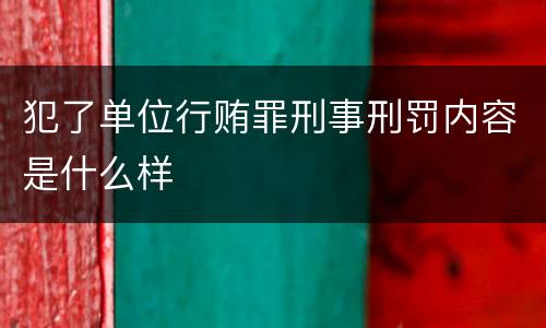 犯了单位行贿罪刑事刑罚内容是什么样