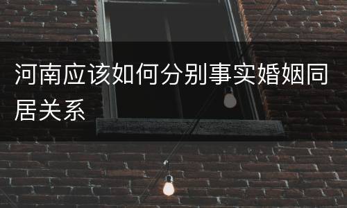 河南应该如何分别事实婚姻同居关系