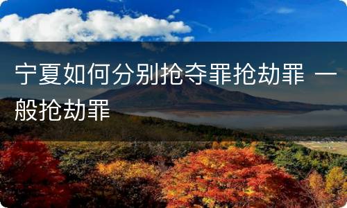 宁夏如何分别抢夺罪抢劫罪 一般抢劫罪