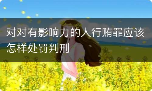 对对有影响力的人行贿罪应该怎样处罚判刑