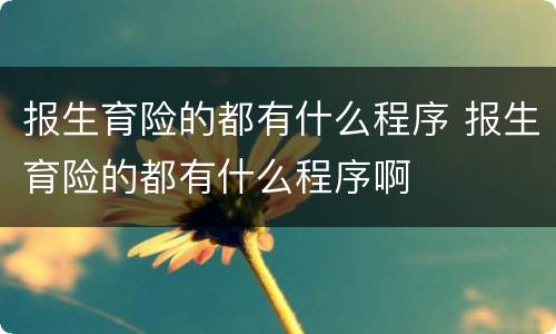 报生育险的都有什么程序 报生育险的都有什么程序啊