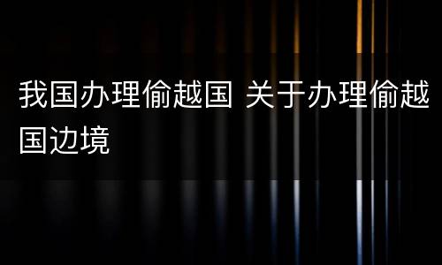 我国办理偷越国 关于办理偷越国边境