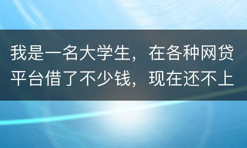 我是一名大学生，在各种网贷平台借了不少钱，现在还不上，如果不还会怎么样