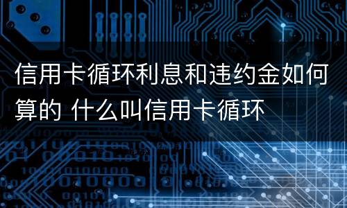 信用卡循环利息和违约金如何算的 什么叫信用卡循环