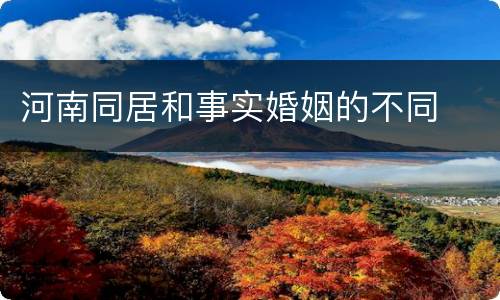 河南同居和事实婚姻的不同