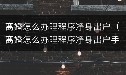 离婚怎么办理程序净身出户（离婚怎么办理程序净身出户手续）