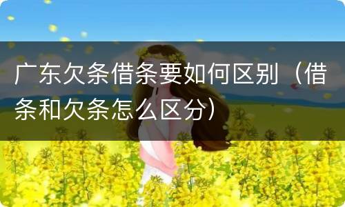 广东欠条借条要如何区别（借条和欠条怎么区分）