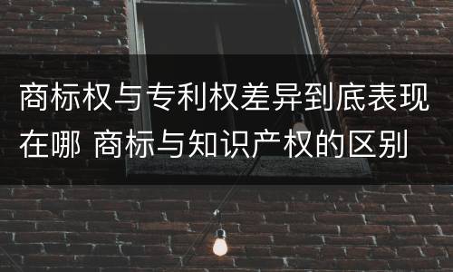 商标权与专利权差异到底表现在哪 商标与知识产权的区别