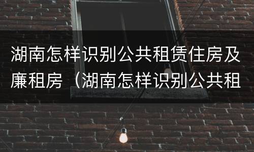 湖南怎样识别公共租赁住房及廉租房（湖南怎样识别公共租赁住房及廉租房信息）