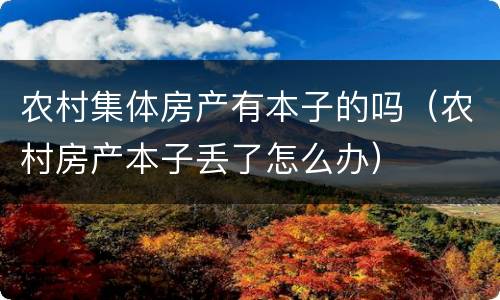 农村集体房产有本子的吗（农村房产本子丢了怎么办）