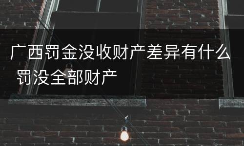 广西罚金没收财产差异有什么 罚没全部财产
