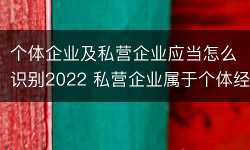个体企业及私营企业应当怎么识别2022 私营企业属于个体经营吗