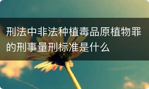 刑法中非法种植毒品原植物罪的刑事量刑标准是什么