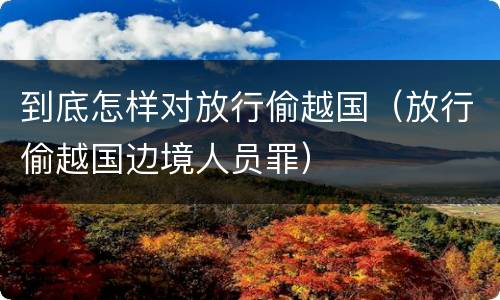 到底怎样对放行偷越国（放行偷越国边境人员罪）