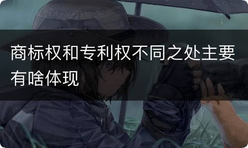 商标权和专利权不同之处主要有啥体现