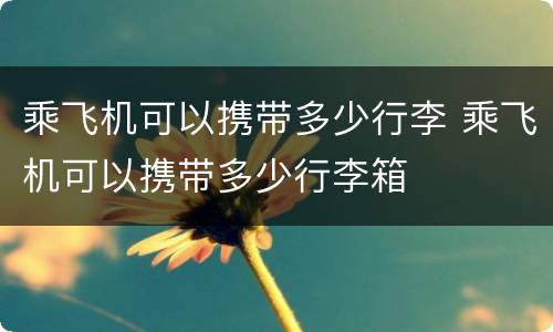 乘飞机可以携带多少行李 乘飞机可以携带多少行李箱